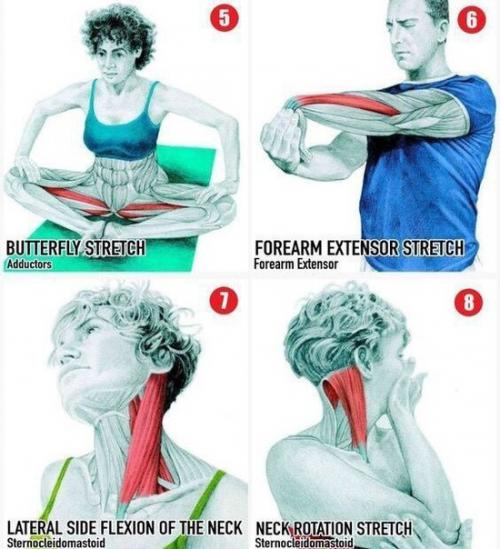 7 секретов приготовления вкуснейших котлет. 01