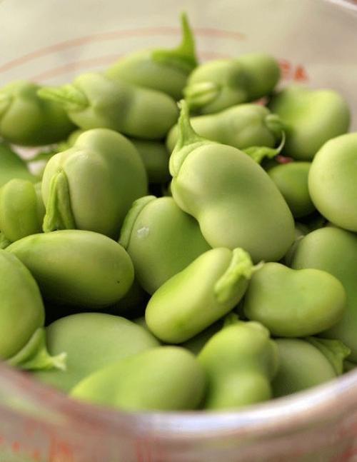 6 лучших продуктов для замены мяса. 05