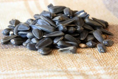 6 лучших продуктов для замены мяса. 03