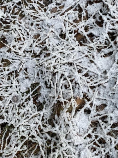 Два дня и - зима. 02 Два дня и - зима. 02