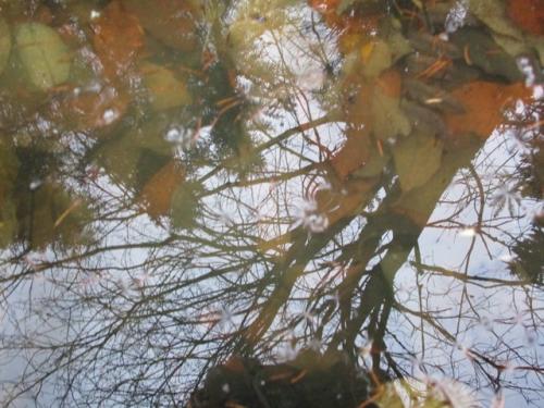 Два дня и - зима. 01 Два дня и - зима. 01