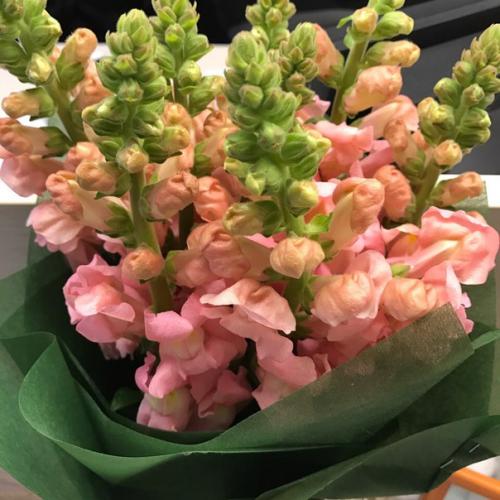 Вини, вини, а какой сегодня день! 01