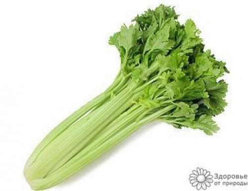 Продукты с Нулевой калорийностью. 05 Продукты с Нулевой калорийностью. 05