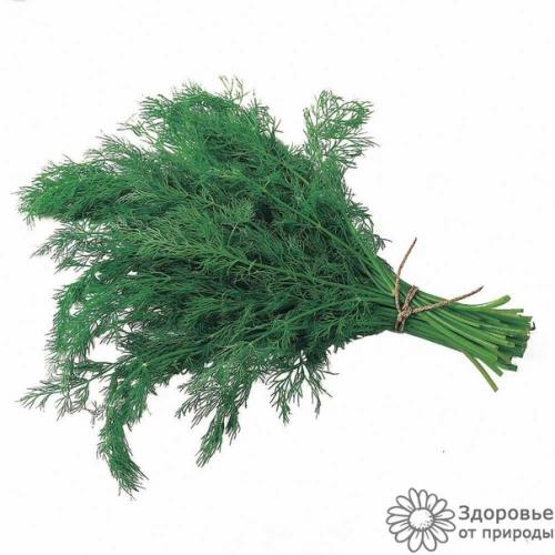 Продукты с Нулевой калорийностью. 06 Продукты с Нулевой калорийностью. 06