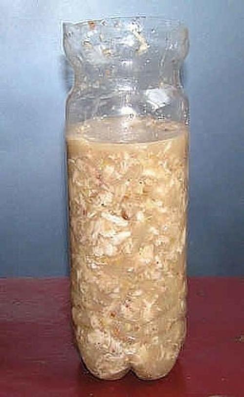 Куриный Рулет в бутылке. 02