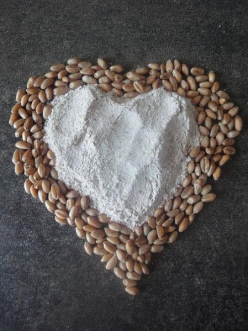 Цельнозерновая пшеничная мука. Цельнозерновая мука имеет множество названий: мука грубого помола, обойная мука, зерновая, цельносмолотая мука, цельная.