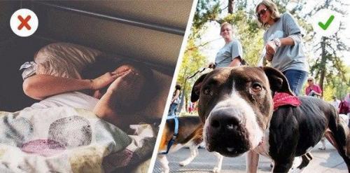 10 советов от тренера, который перестал пить калории и похудел на 70 кг. 05