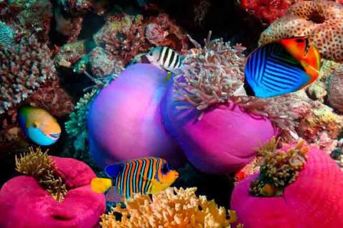 Топ - 10 достопримечательностей Египта? 01 Топ - 10 достопримечательностей Египта? 01