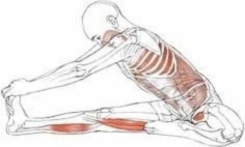 Растяжка!  Обратите внимание на то, какие мышцы задействованы, и выполняйте правильно? 04