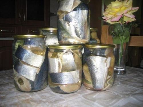 Солёная, маринованная, копчёная рыбка легко! 03