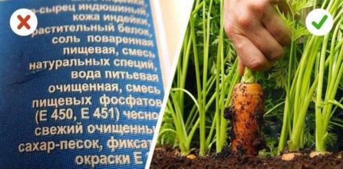 10 советов от тренера, который перестал пить калории и похудел на 70 кг. 06