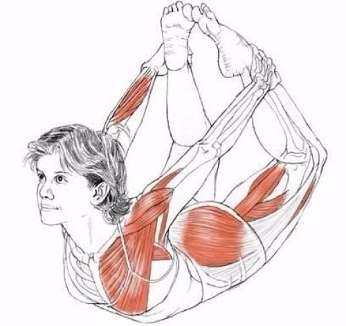 Растяжка!  Обратите внимание на то, какие мышцы задействованы, и выполняйте правильно? 08