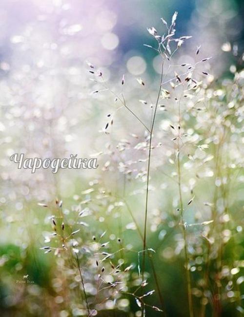 Мы за день рождаемся. 03