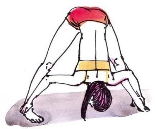 Небольшой комплекс бикрам йоги на каждый день для среднего уровня. 09