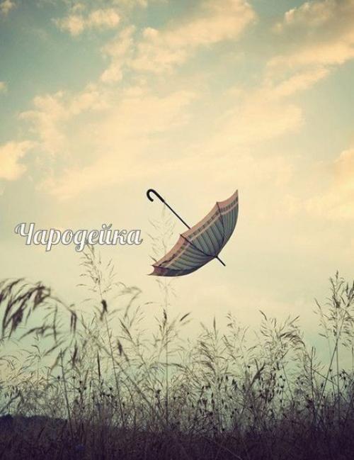 Мы за день рождаемся. 01