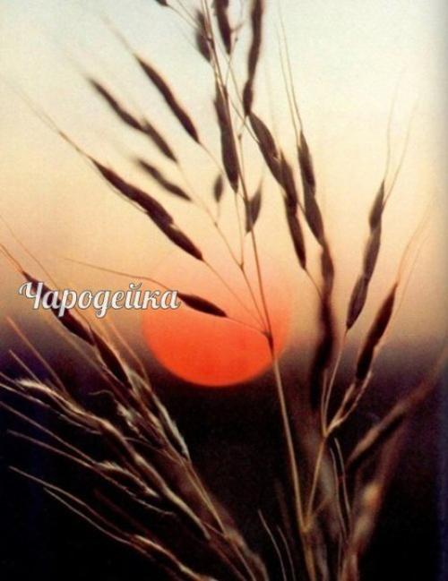 Мы за день рождаемся. 04