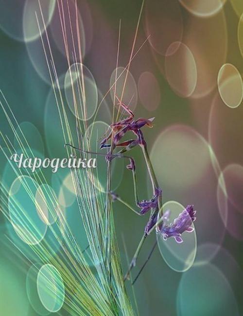 Мы за день рождаемся. 02