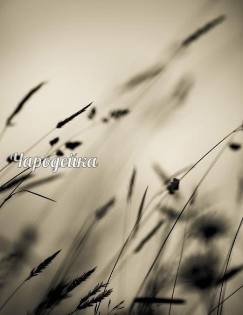 Мы за день рождаемся. 05