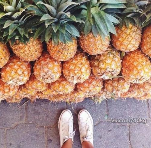 Ананасовая настойка для похудения? 02