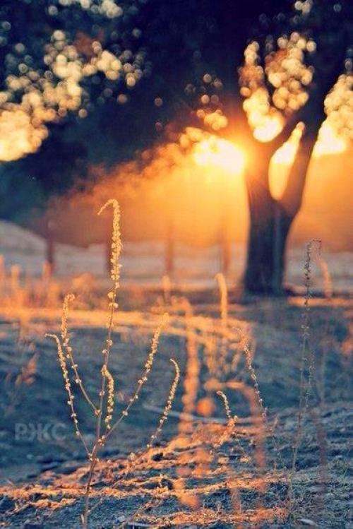 Добрый день!   Я желаю вам осень полную любви, тёплых красок, запаха кофе и поцелуев …. 05