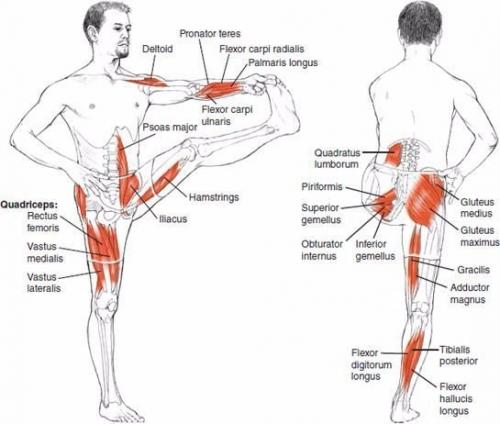 Растяжка для всего тела! 07