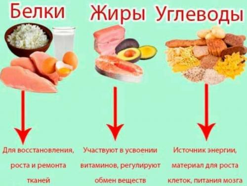 Дорогие мои, разберем роль белков, жиров и углеводов в организме человека.

