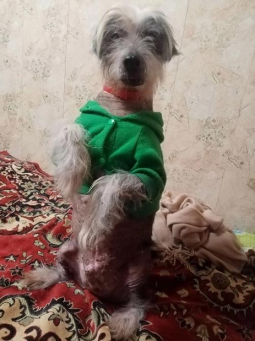 Воронеж. Вот и настал час, когда Кирюша здоров и ему нужен дом. 04