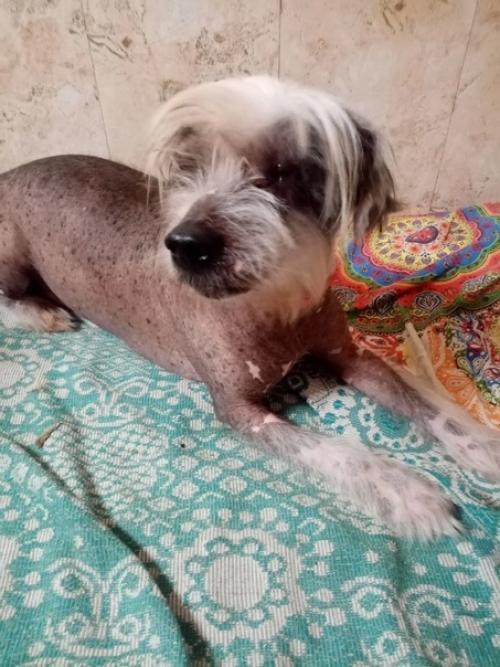 Воронеж. Вот и настал час, когда Кирюша здоров и ему нужен дом. 05