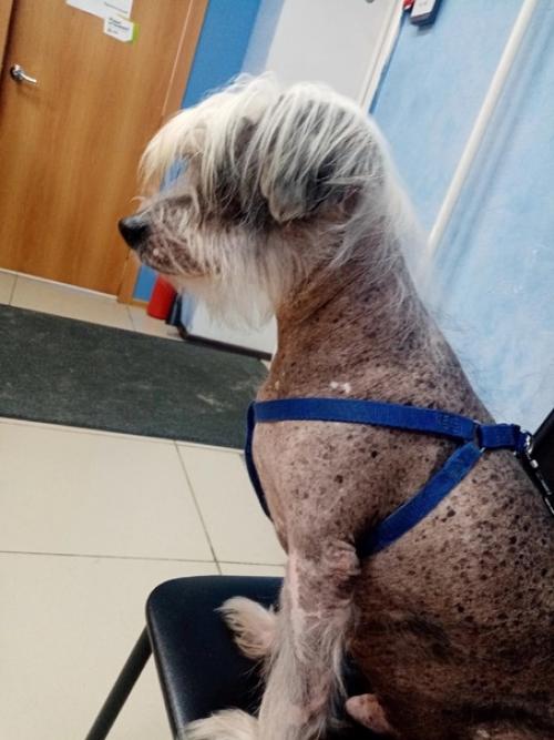 Воронеж. Вот и настал час, когда Кирюша здоров и ему нужен дом. 02