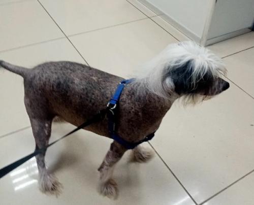 Воронеж. Вот и настал час, когда Кирюша здоров и ему нужен дом. 01