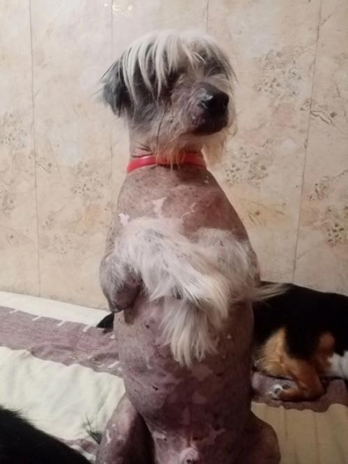 Воронеж. Вот и настал час, когда Кирюша здоров и ему нужен дом. 03