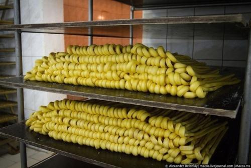 Производство сыра косичка (чечил). 06 Производство сыра косичка (чечил). 06