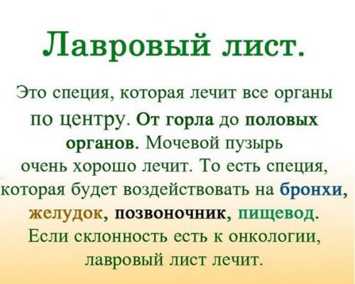 Лавровый лист в ПОМОЩЬ. 01