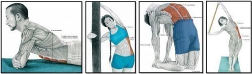 Упражнения на растяжку. 03