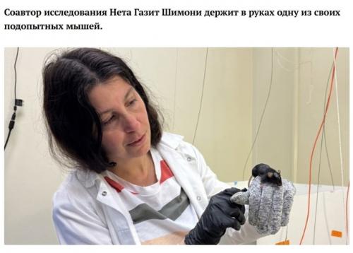 Потеря удовольствия, а не тяга к перееданию приводит к ожирению. 02 Потеря удовольствия, а не тяга к перееданию приводит к ожирению. 02