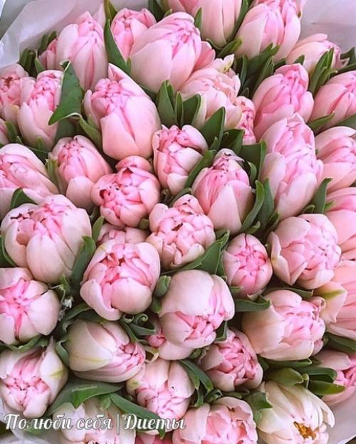 С праздником, милые девушки! 02