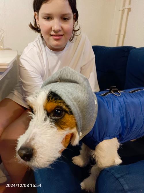 Что хочу сказать. 01