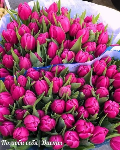 С праздником, милые девушки! 01