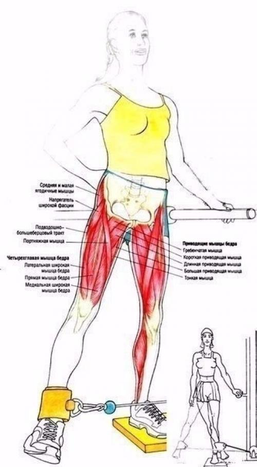 Умные тренировки = эффективные тренировки. 02