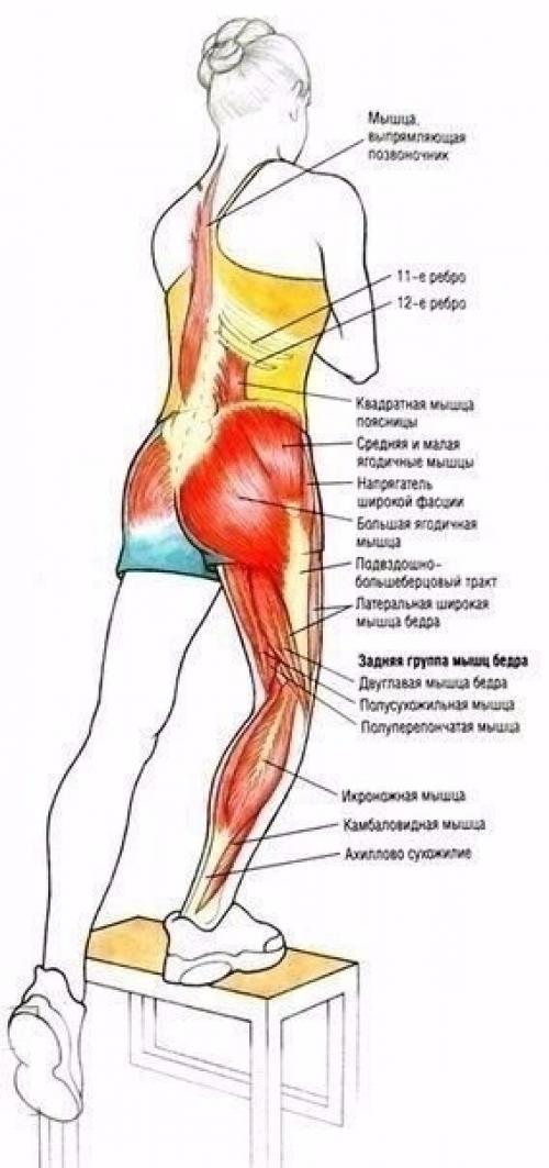 Умные тренировки = эффективные тренировки. 03