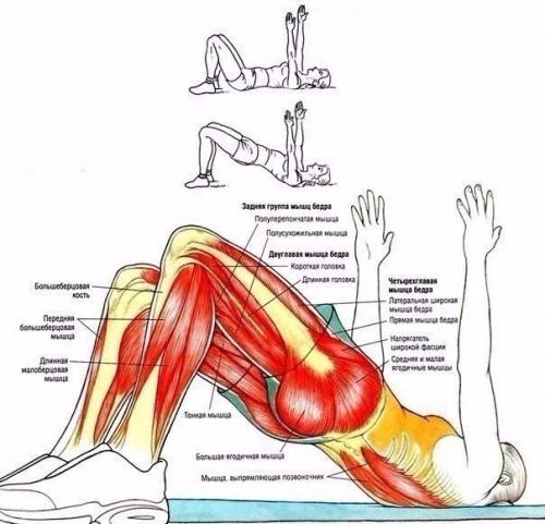 Умные тренировки = эффективные тренировки. 06