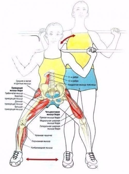 Умные тренировки = эффективные тренировки. 05