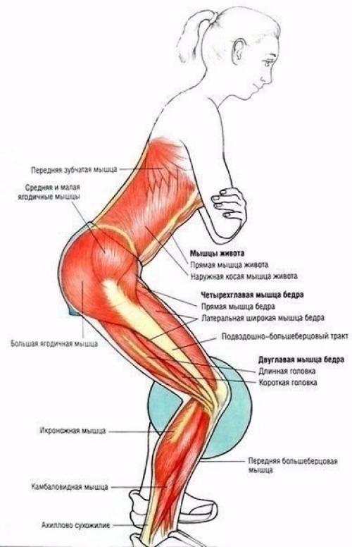 Умные тренировки = эффективные тренировки. 01