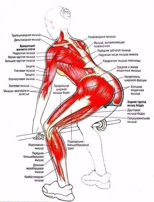 Умные тренировки = эффективные тренировки. 04
