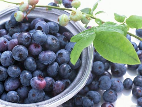 Летний рацион питания. 02 Летний рацион питания. 02