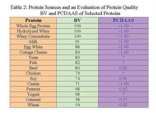 Ответы на часто задаваемые вопросы о белке. 01 Ответы на часто задаваемые вопросы о белке. 01