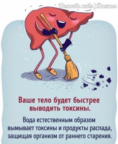 Вы и так знаете, что вода - важная составляющая организма! 03