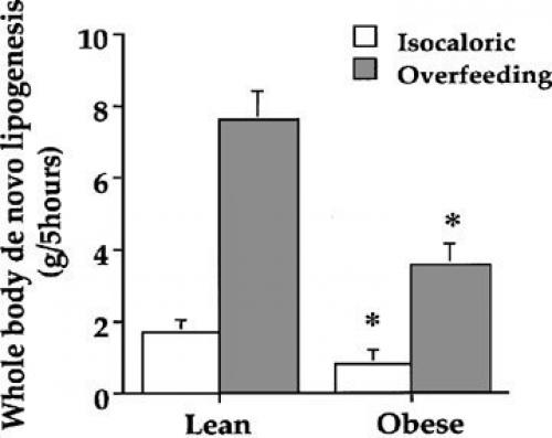 Углеводы редко перерабатываются в жир и хранятся таким образом. 04 Углеводы редко перерабатываются в жир и хранятся таким образом. 04