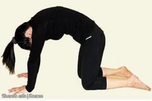 Комплекс асан для вытяжения мыщц спины. 04 Комплекс асан для вытяжения мыщц спины. 04