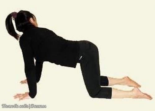 Комплекс асан для вытяжения мыщц спины. 07 Комплекс асан для вытяжения мыщц спины. 07